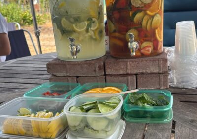 Mojitos and Pimms